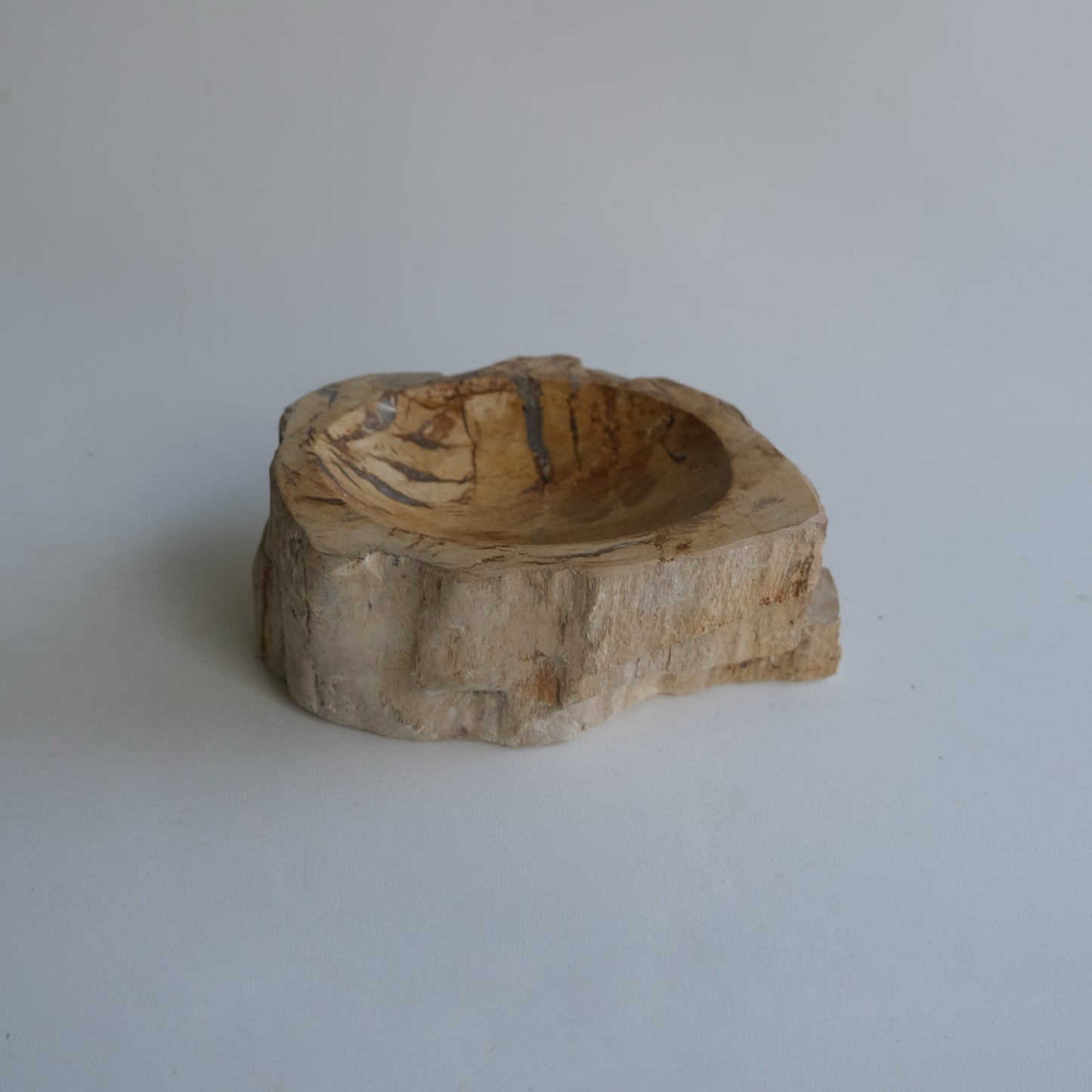 Accessory Tray #031