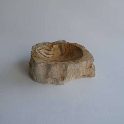 Accessory Tray #031