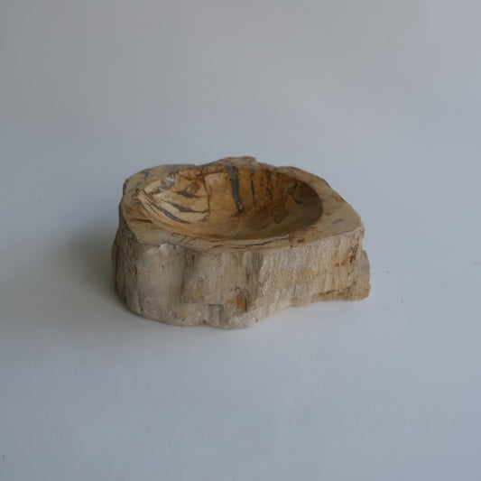 Accessory Tray #031