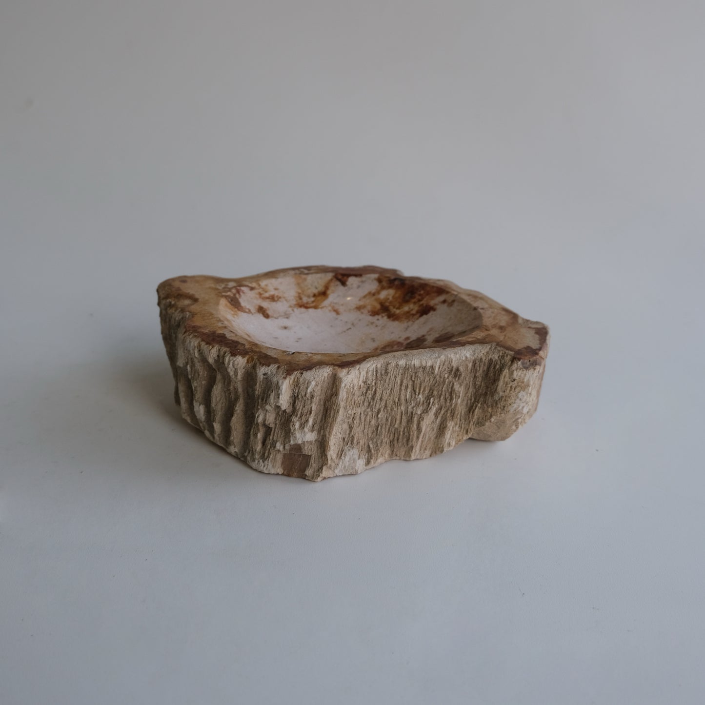 Accessory Tray #006
