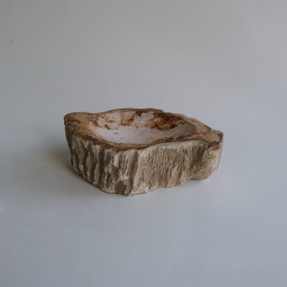 Accessory Tray #006