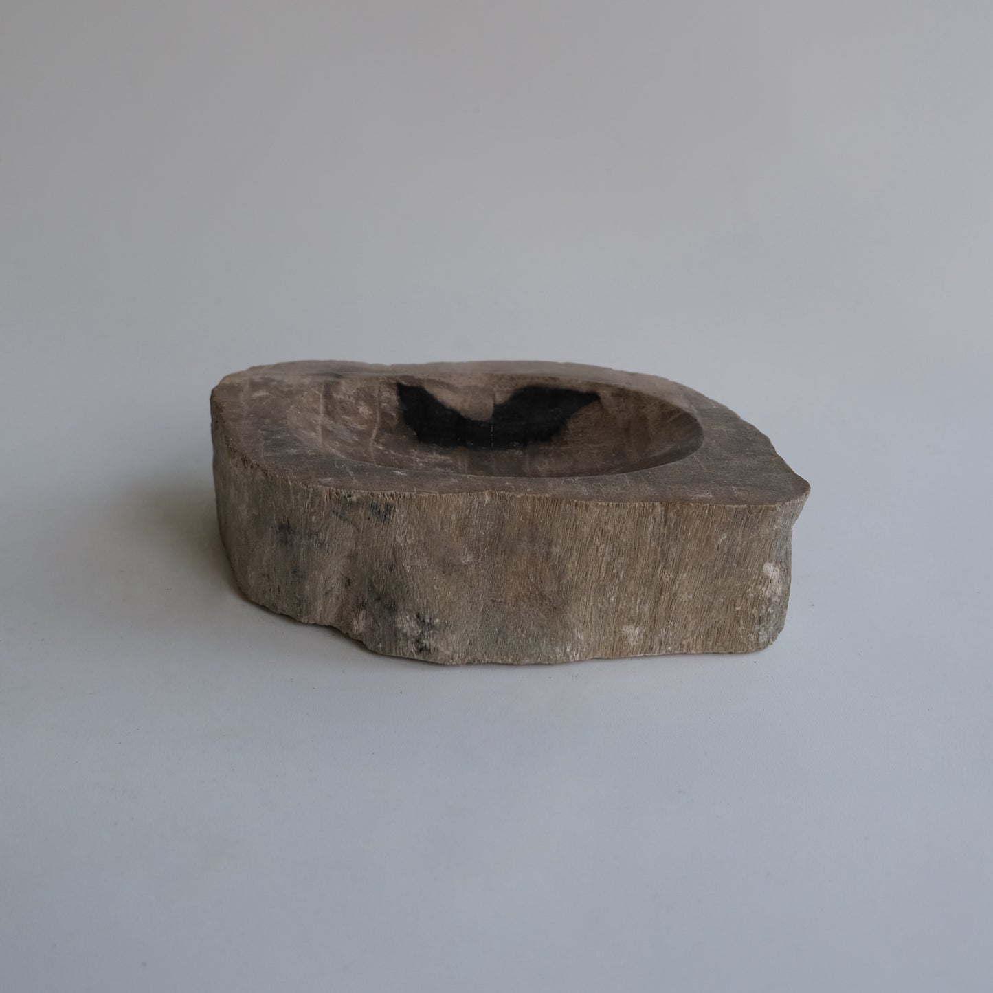 Accessory Tray #030