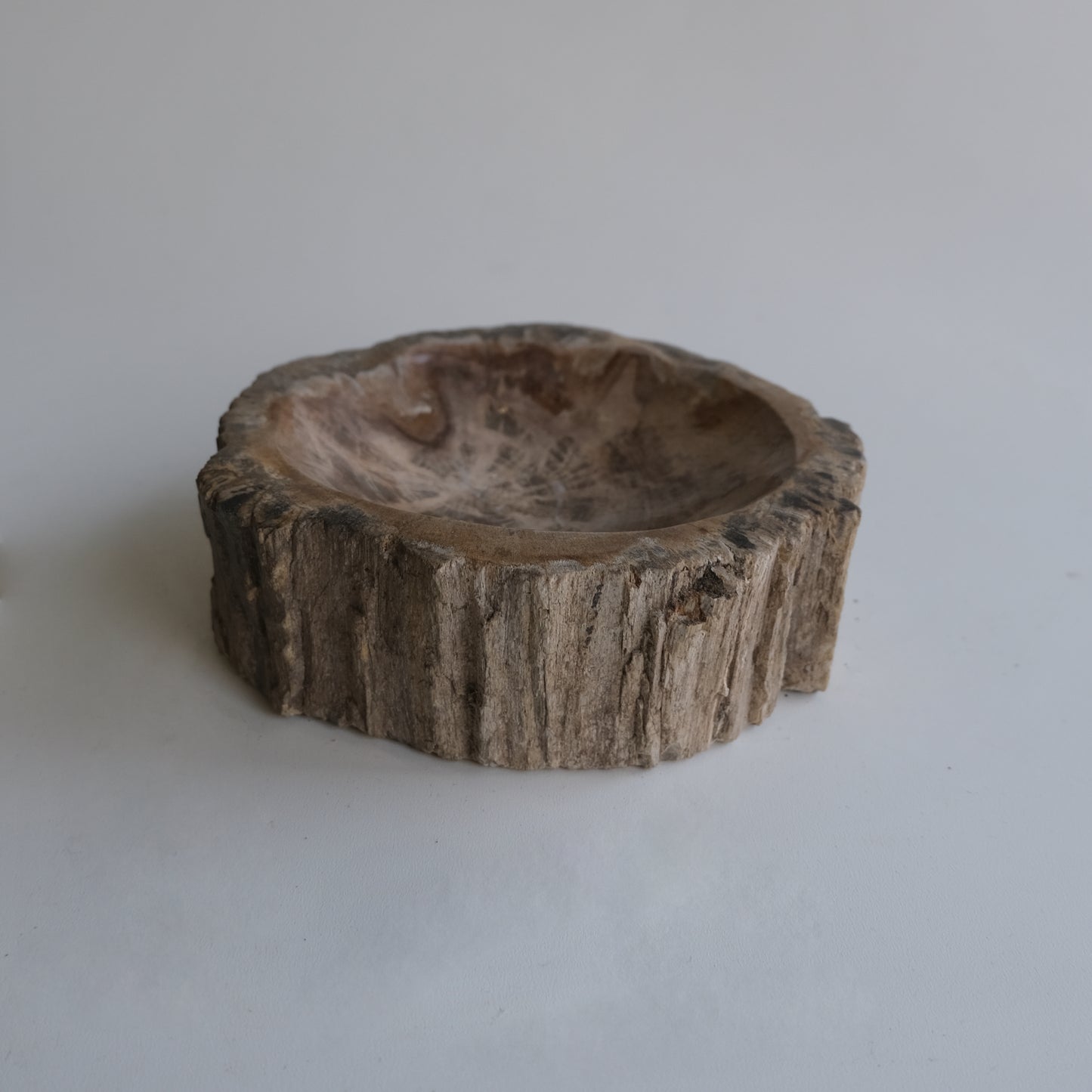 Accessory Tray #024