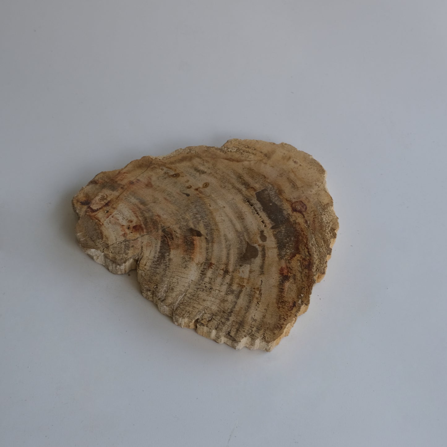 Wood Plate Small #010
