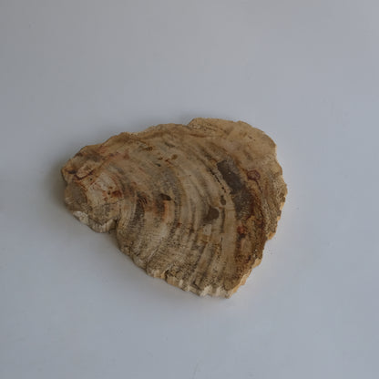 Wood Plate Small #010