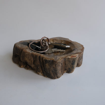 Accessory Tray #001
