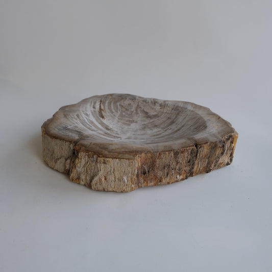 Accessory Tray #023