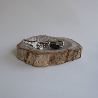 Accessory Tray #023