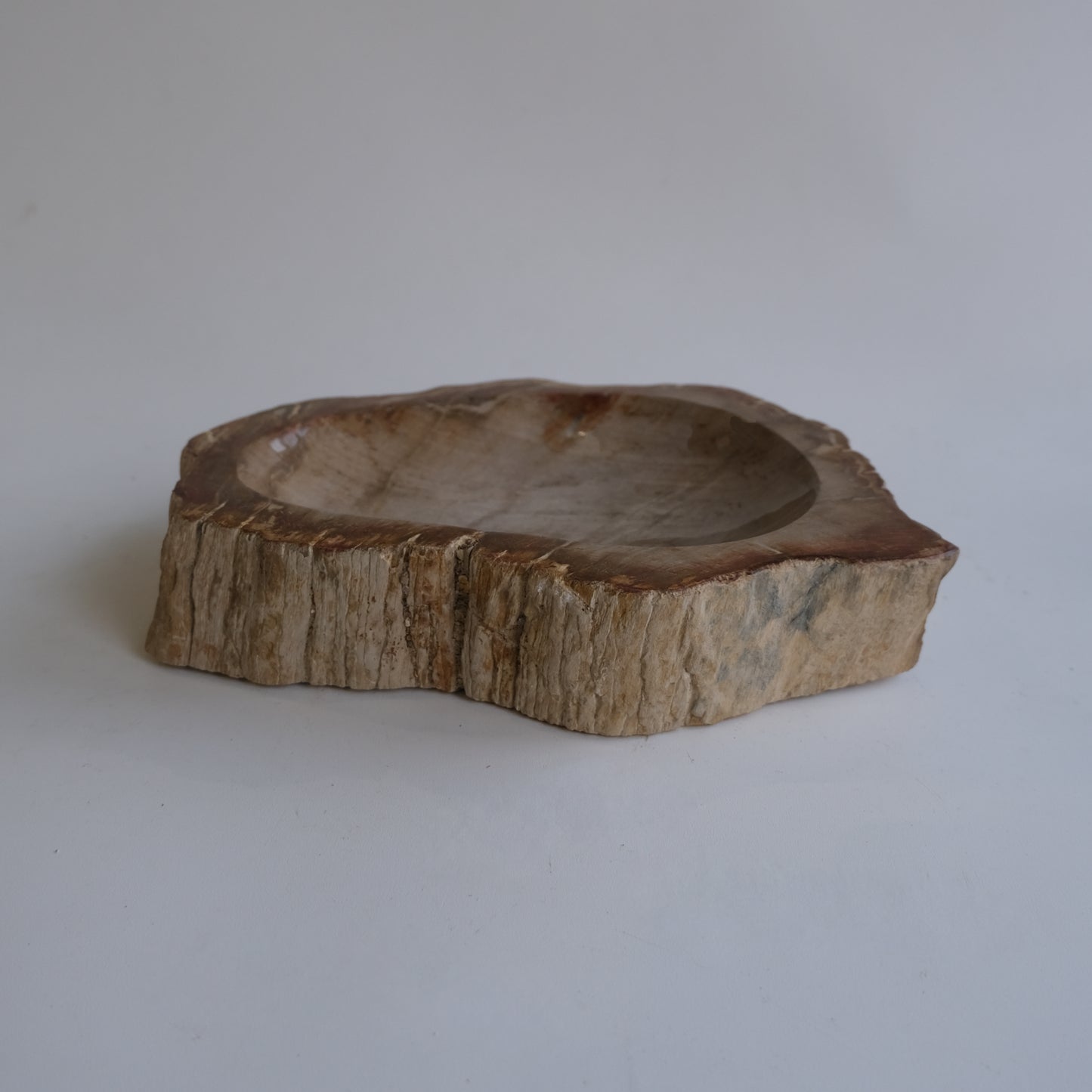 Accessory Tray #027