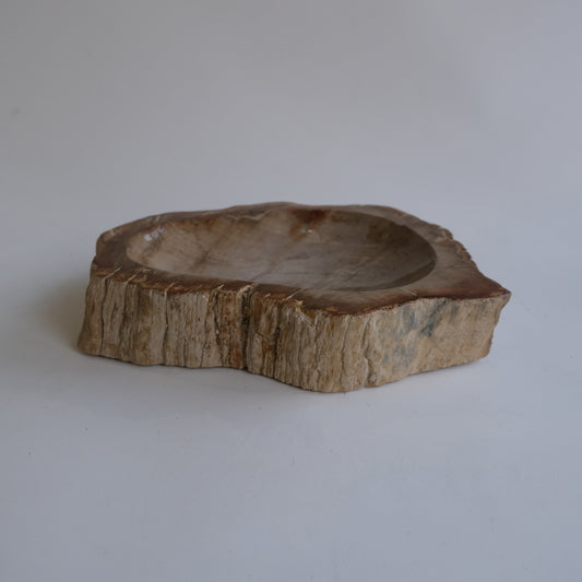 Accessory Tray #027