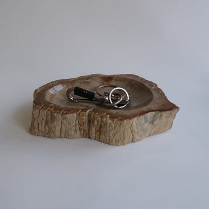 Accessory Tray #027