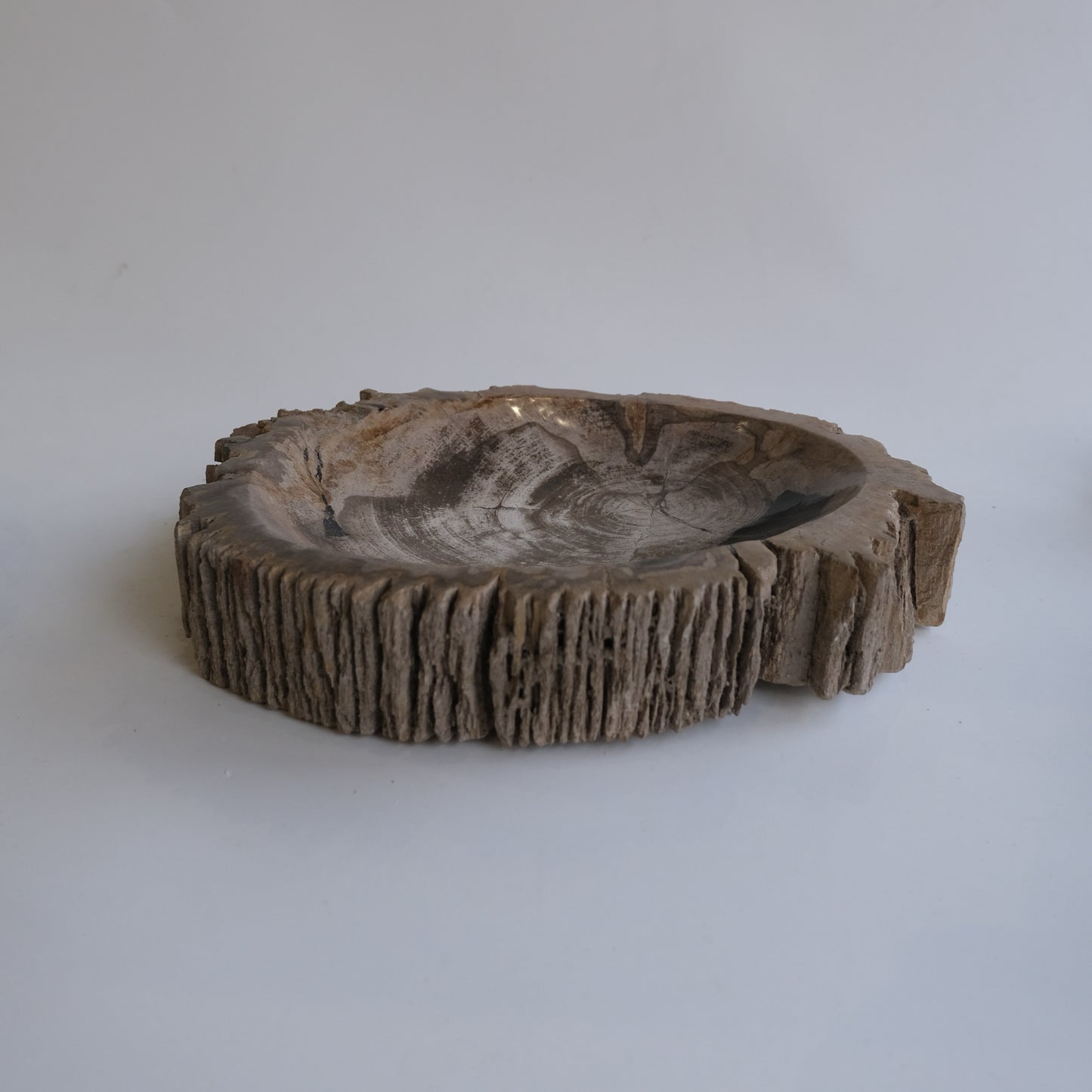 Accessory Tray #047