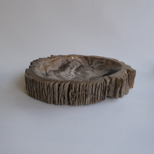 Accessory Tray #047