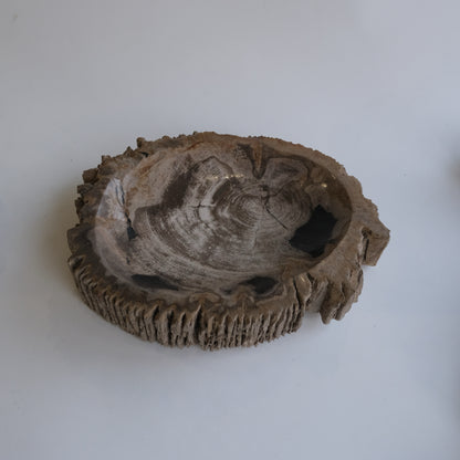Accessory Tray #047