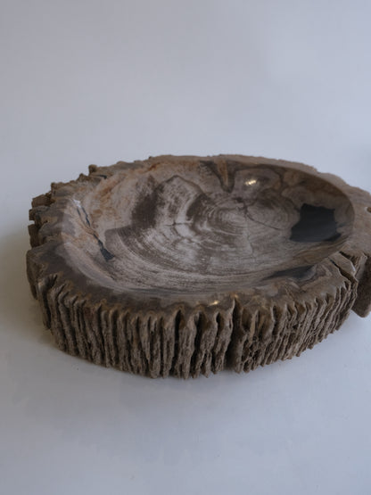 Accessory Tray #047