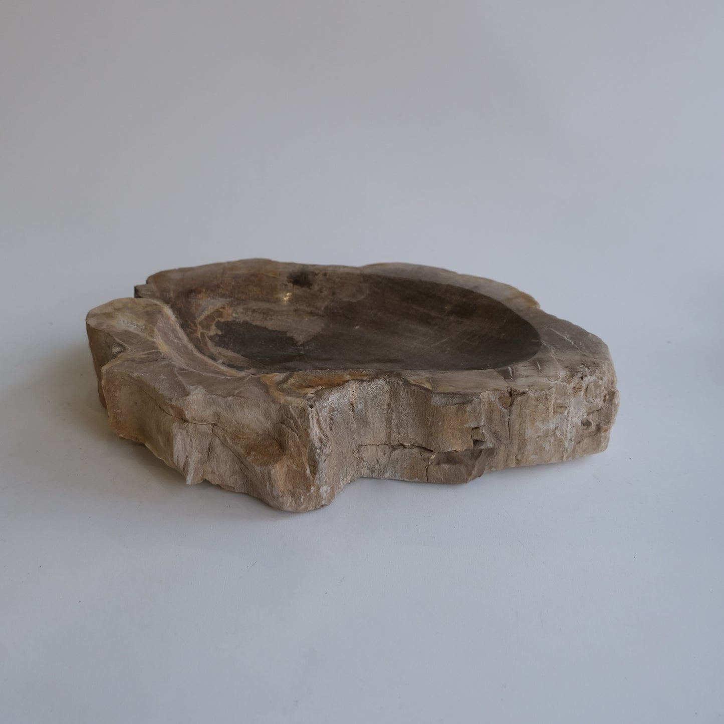 Accessory Tray #050