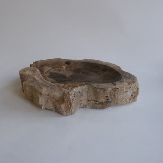 Accessory Tray #050