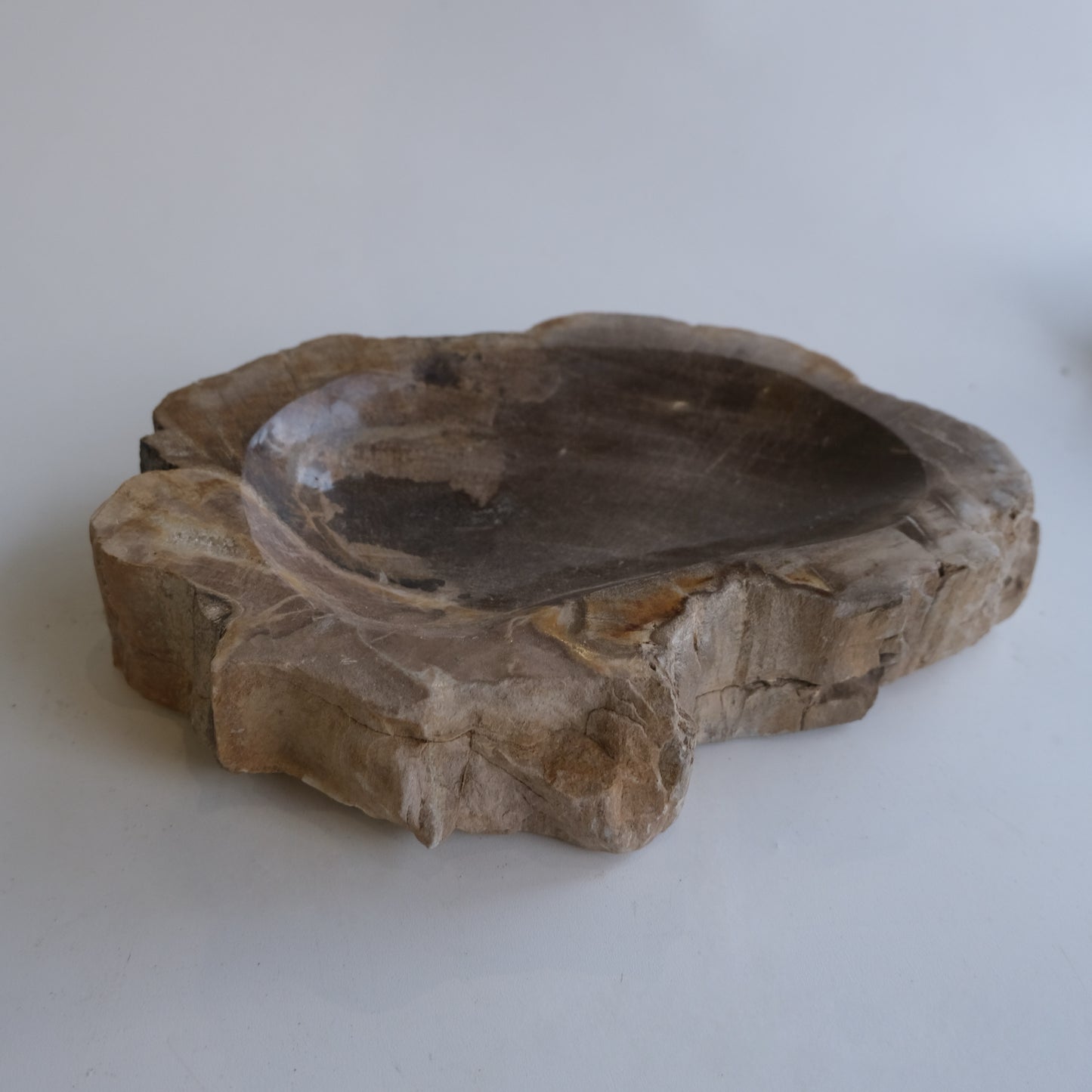 Accessory Tray #050