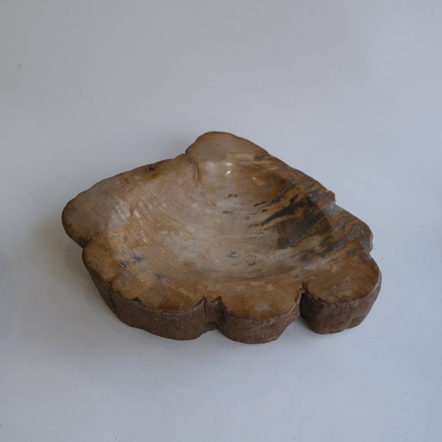 Accessory Tray #042
