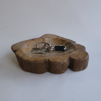 Accessory Tray #042