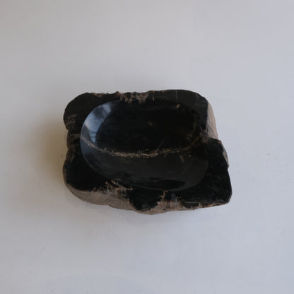 Accessory Tray #019