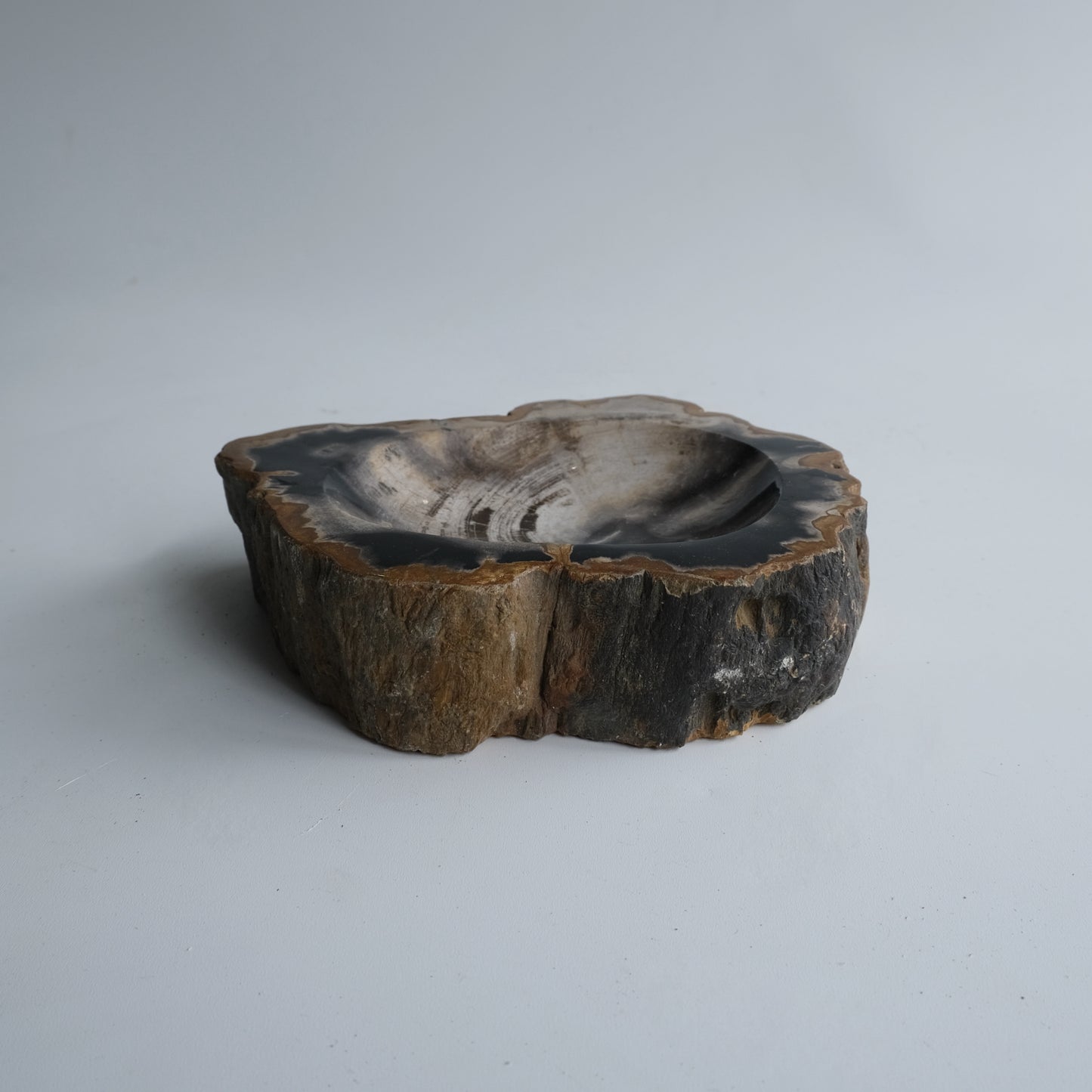 Accessory Tray #014