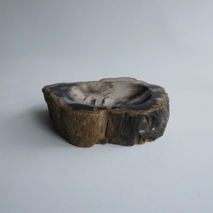 Accessory Tray #014