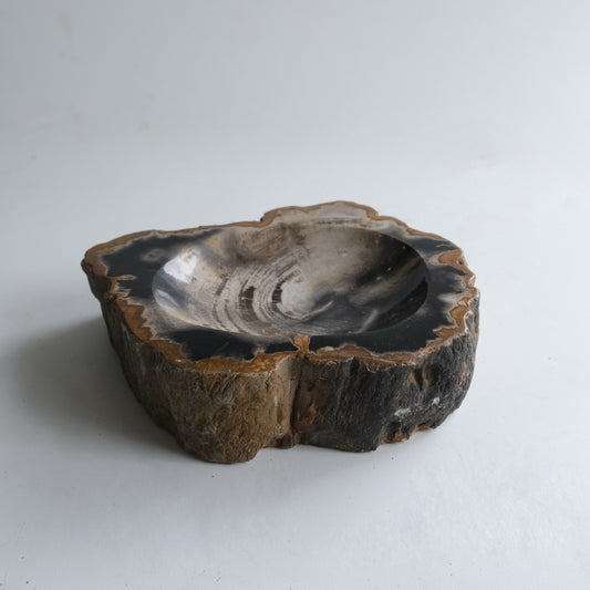 Accessory Tray #014
