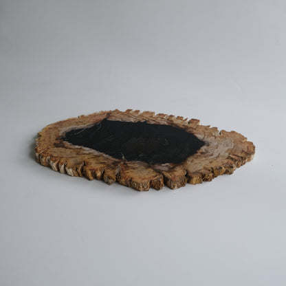 Wood Plate #039