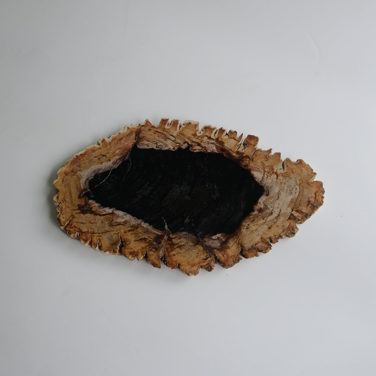 Wood Plate #039