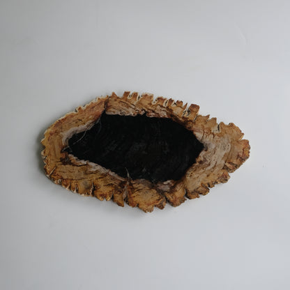 Wood Plate #039