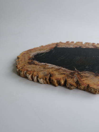 Wood Plate #039