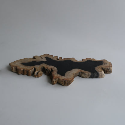 Wood Plate Medium #001