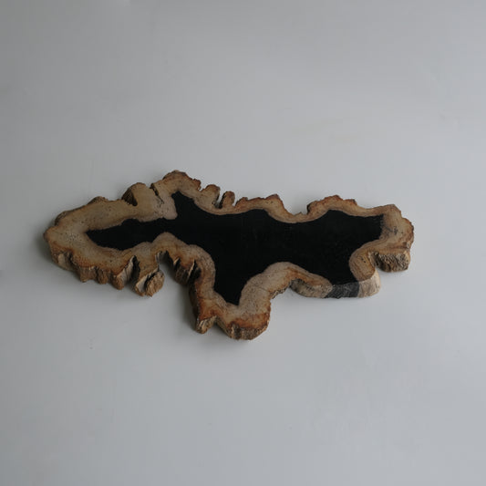 Wood Plate Medium #001