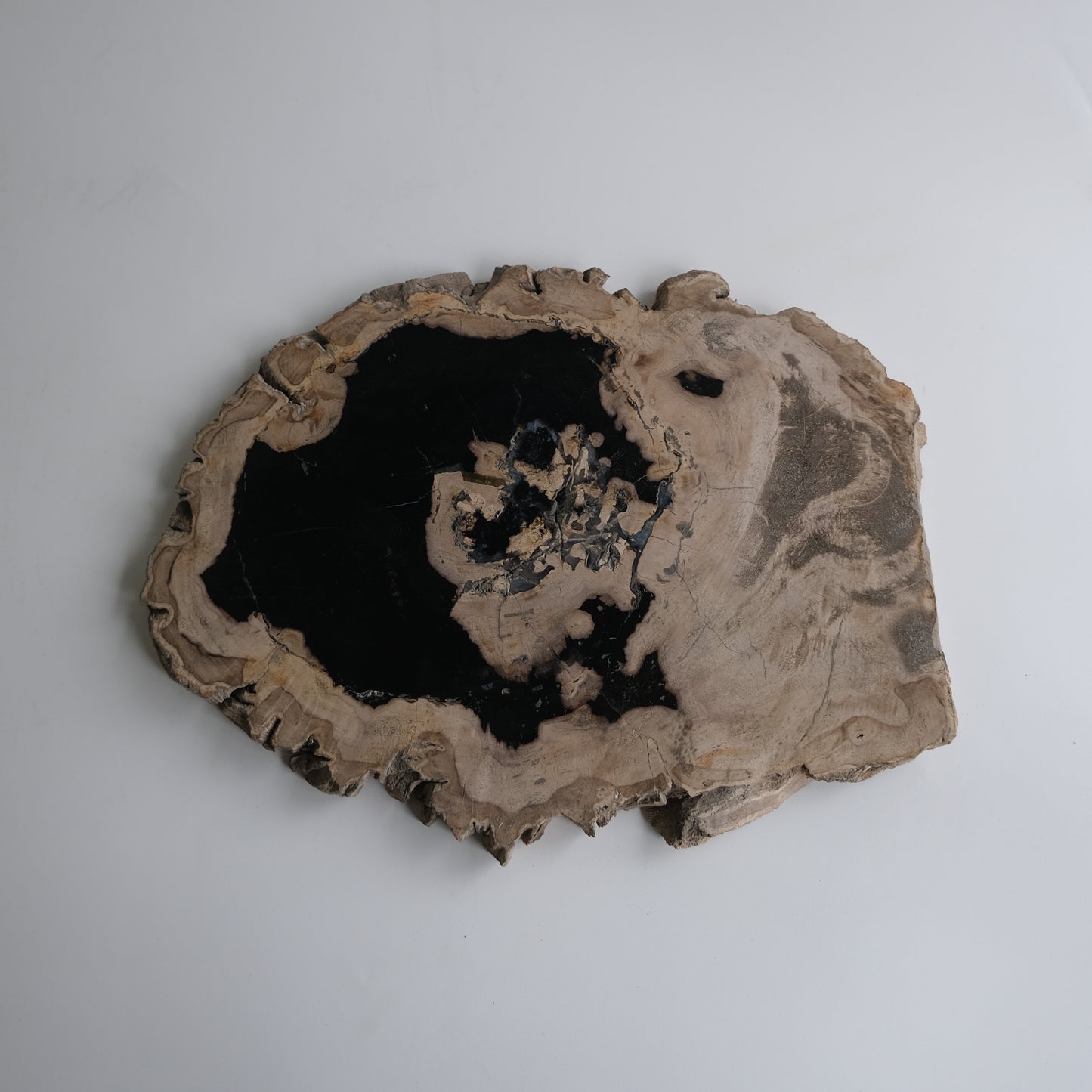 Wood Plate #006