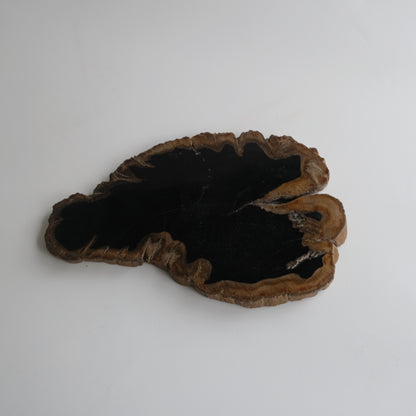 Wood Plate #008