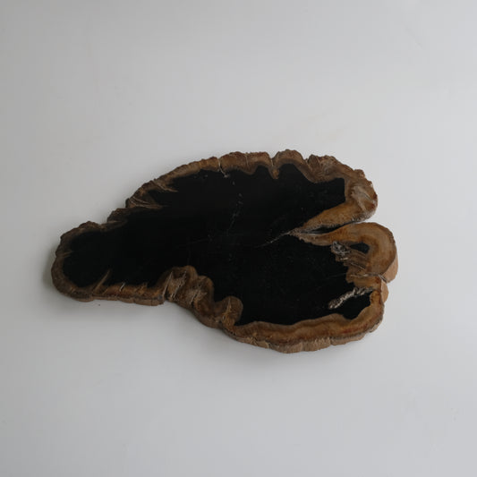 Wood Plate #008