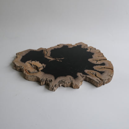 Wood Plate #007