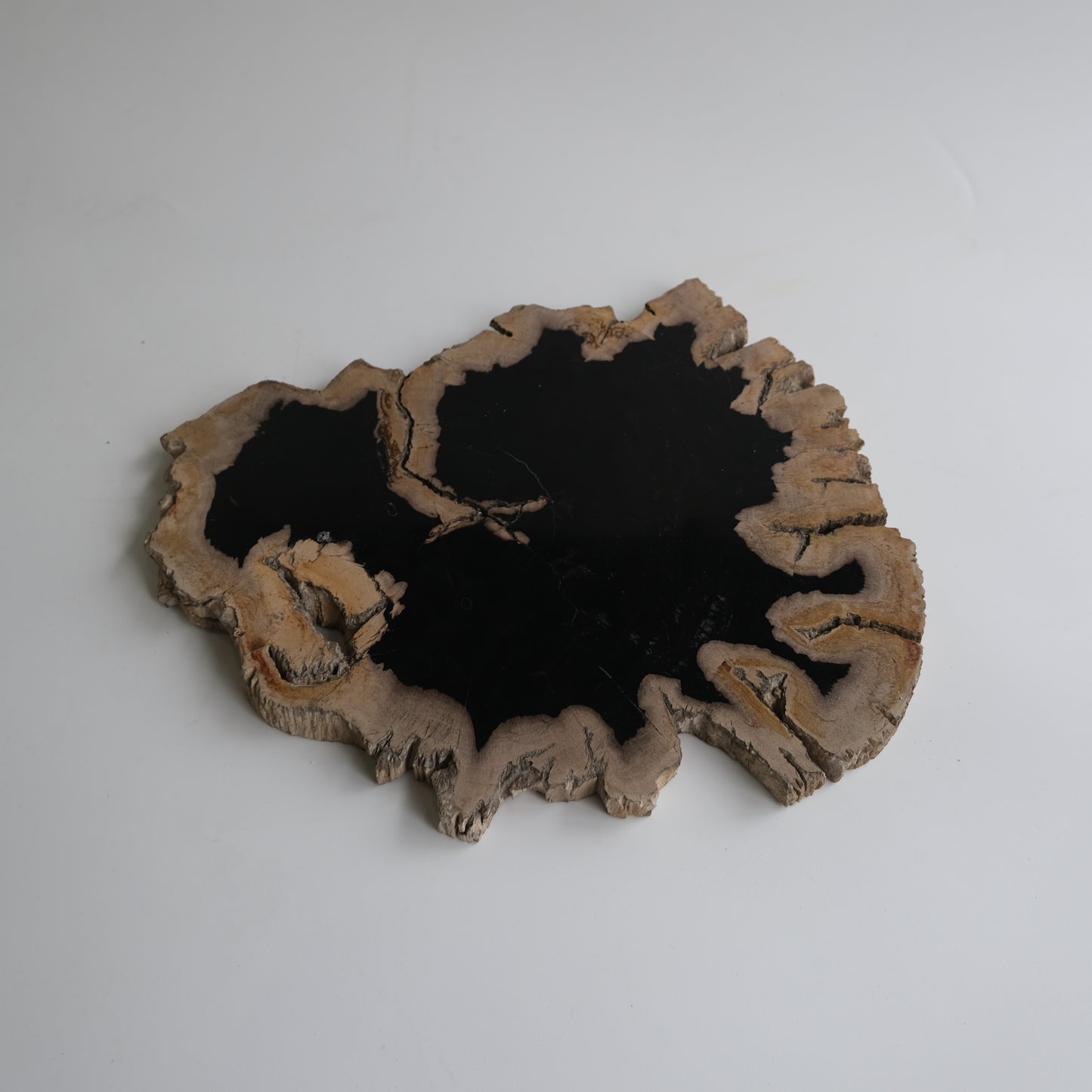 Wood Plate #007