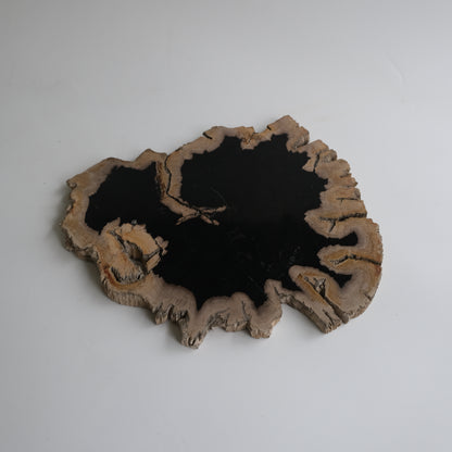Wood Plate #007