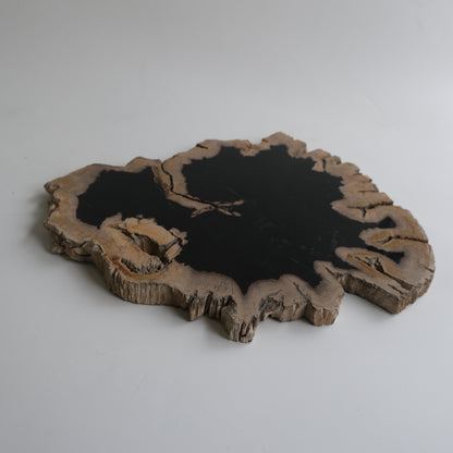 Wood Plate #007