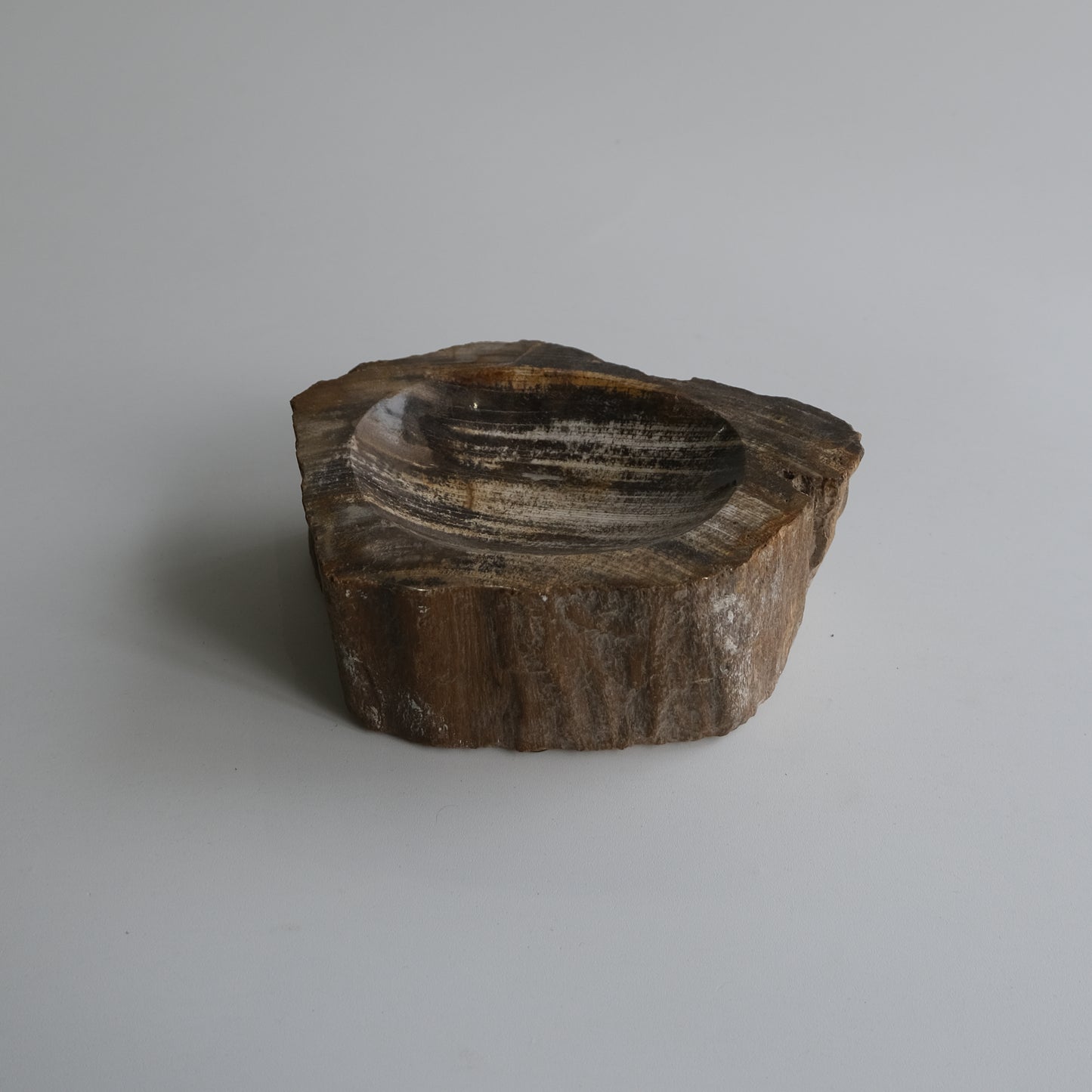 Accessory Tray #006