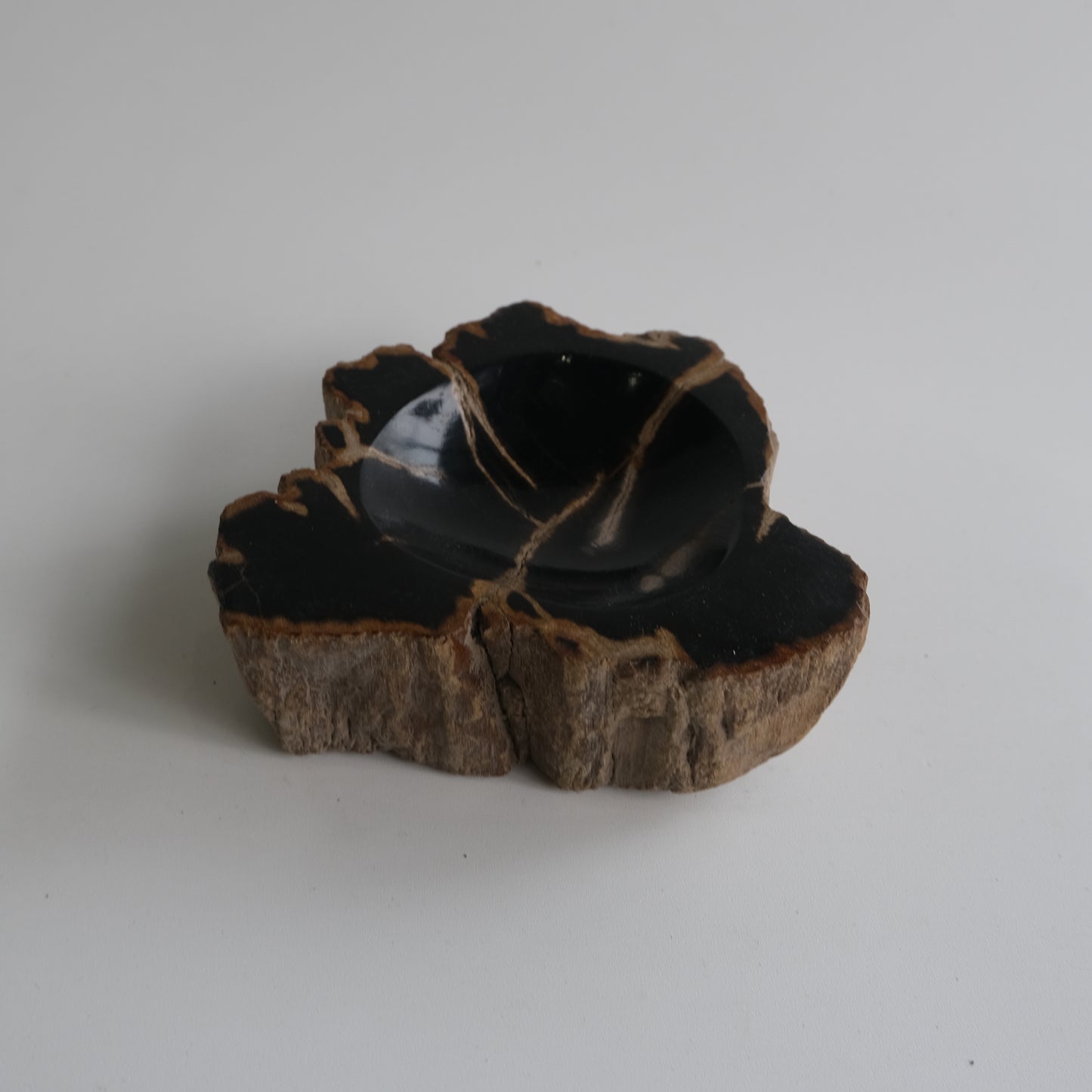 Accessory Tray #008