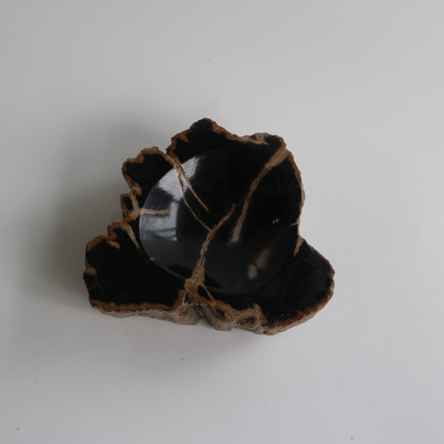 Accessory Tray #008
