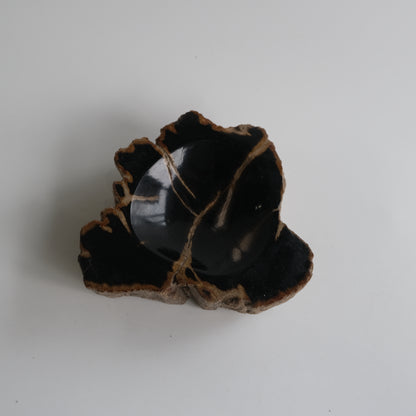 Accessory Tray #008