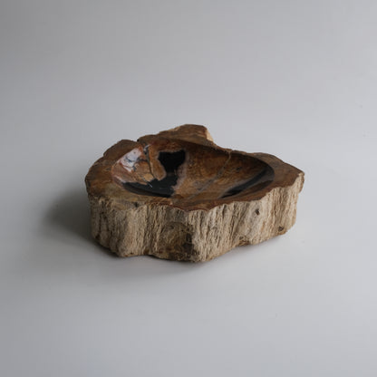 Accessory Tray #013