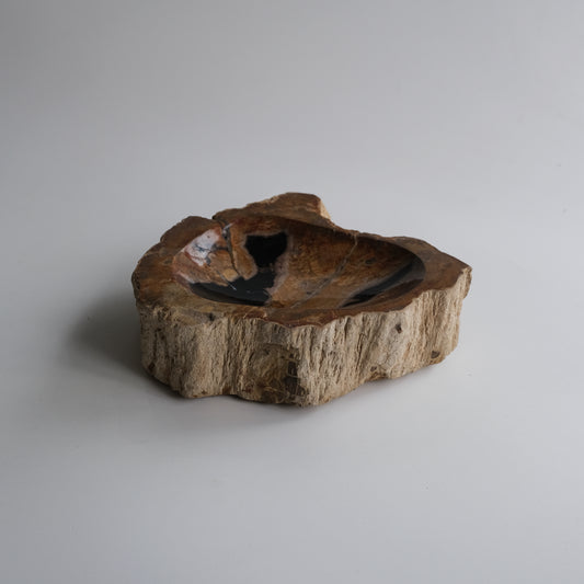 Accessory Tray #013