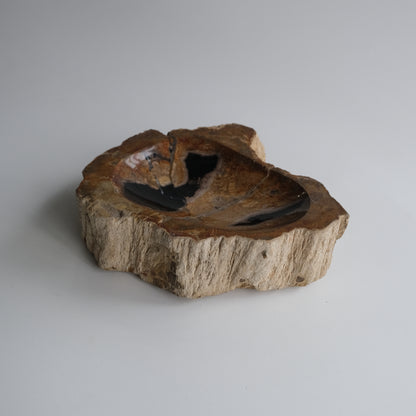 Accessory Tray #013