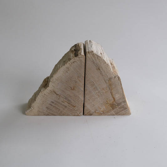 Book End #120