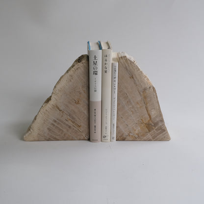 Book End #120